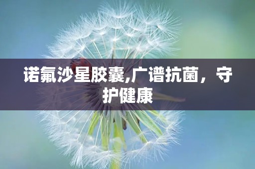 诺氟沙星胶囊,广谱抗菌，守护健康