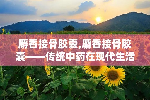 麝香接骨胶囊,麝香接骨胶囊——传统中药在现代生活中的应用