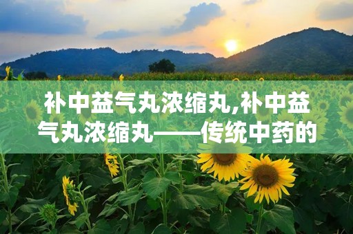 补中益气丸浓缩丸,补中益气丸浓缩丸——传统中药的现代应用