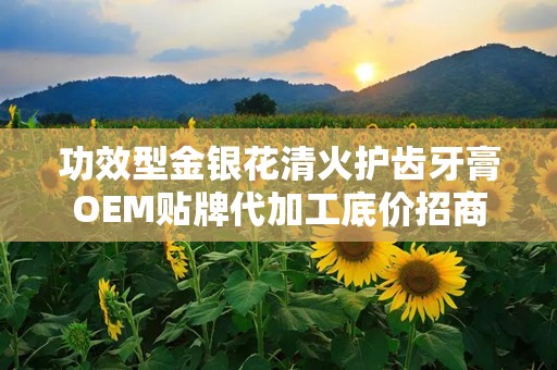 功效型金银花清火护齿牙膏OEM贴牌代加工底价招商