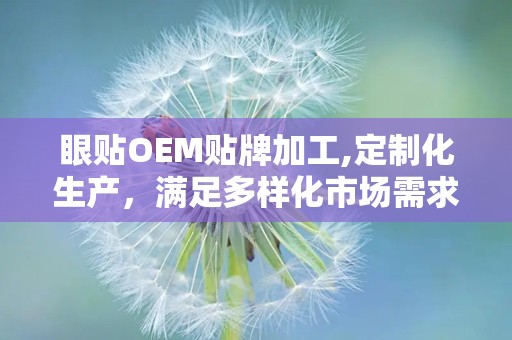 眼贴OEM贴牌加工,定制化生产，满足多样化市场需求