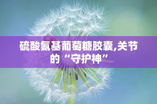 硫酸氨基葡萄糖胶囊,关节的“守护神”