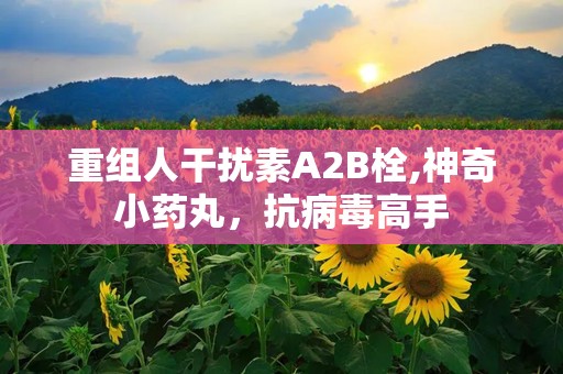 重组人干扰素Α2B栓,神奇小药丸，抗病毒高手