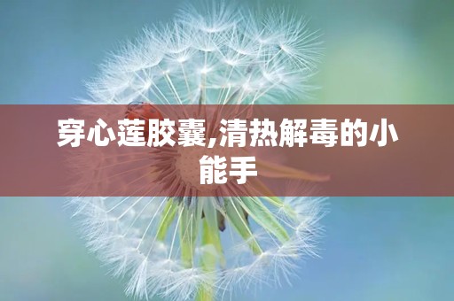 穿心莲胶囊,清热解毒的小能手