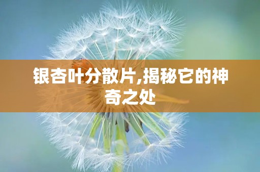 银杏叶分散片,揭秘它的神奇之处