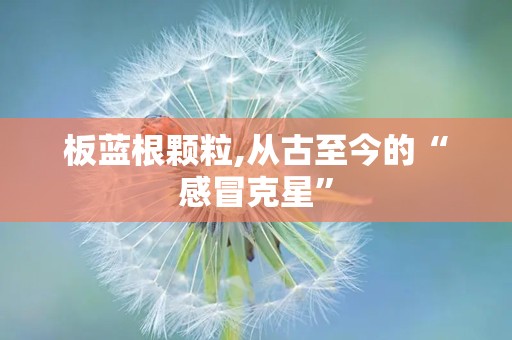 板蓝根颗粒,从古至今的“感冒克星”