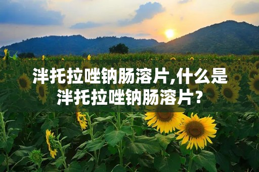 泮托拉唑钠肠溶片,什么是泮托拉唑钠肠溶片？