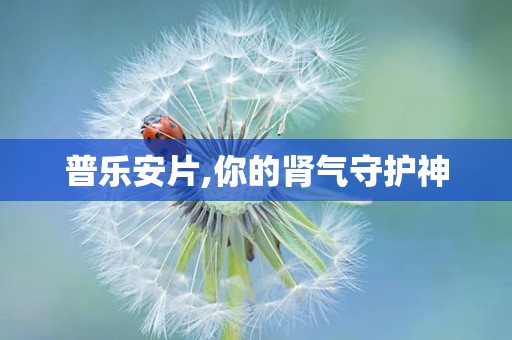 普乐安片,你的肾气守护神