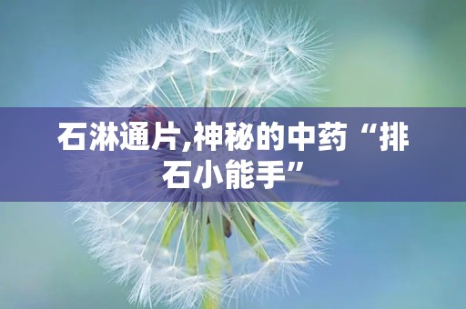 石淋通片,神秘的中药“排石小能手”