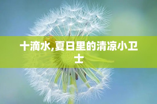 十滴水,夏日里的清凉小卫士