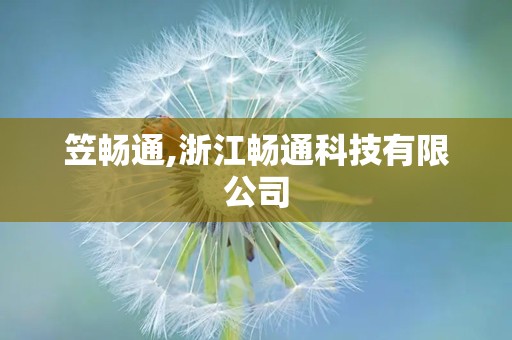 笠畅通,浙江畅通科技有限公司