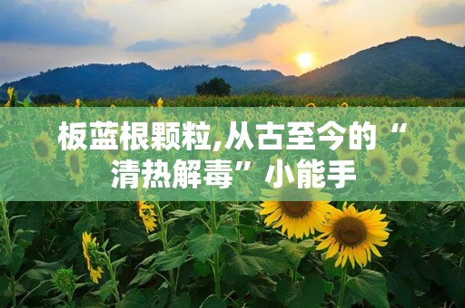 板蓝根颗粒,从古至今的“清热解毒”小能手