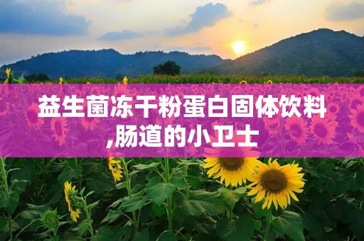 益生菌冻干粉蛋白固体饮料,肠道的小卫士