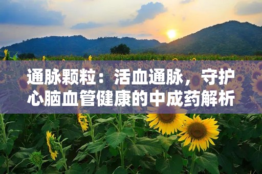 通脉颗粒：活血通脉，守护心脑血管健康的中成药解析