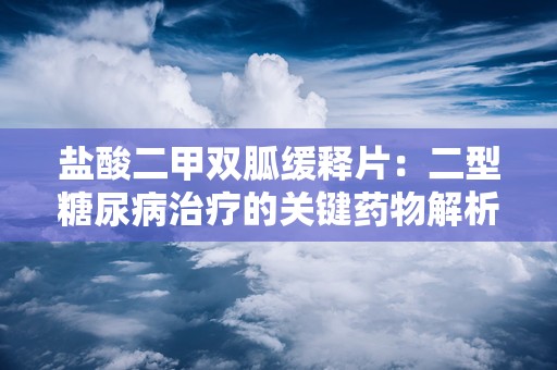 盐酸二甲双胍缓释片：二型糖尿病治疗的关键药物解析