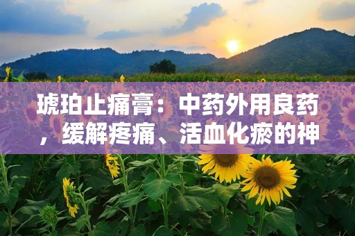 琥珀止痛膏：中药外用良药，缓解疼痛、活血化瘀的神奇膏剂