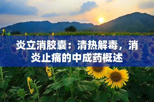 炎立消胶囊：清热解毒，消炎止痛的中成药概述