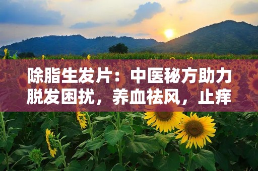 除脂生发片：中医秘方助力脱发困扰，养血祛风，止痒除油脂