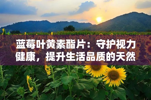 蓝莓叶黄素酯片：守护视力健康，提升生活品质的天然守护神