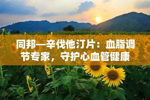 同邦—辛伐他汀片：血脂调节专家，守护心血管健康