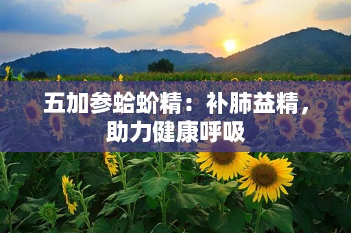 五加参蛤蚧精：补肺益精，助力健康呼吸