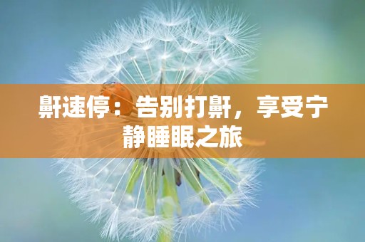 鼾速停：告别打鼾，享受宁静睡眠之旅