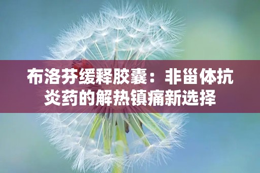 布洛芬缓释胶囊：非甾体抗炎药的解热镇痛新选择