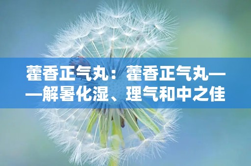 藿香正气丸：藿香正气丸——解暑化湿、理气和中之佳品