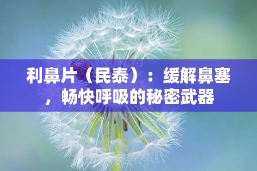 利鼻片（民泰）：缓解鼻塞，畅快呼吸的秘密武器