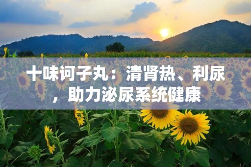 十味诃子丸：清肾热、利尿，助力泌尿系统健康