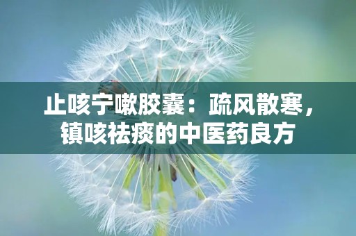 止咳宁嗽胶囊：疏风散寒，镇咳祛痰的中医药良方