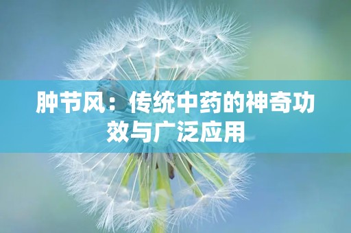 肿节风：传统中药的神奇功效与广泛应用