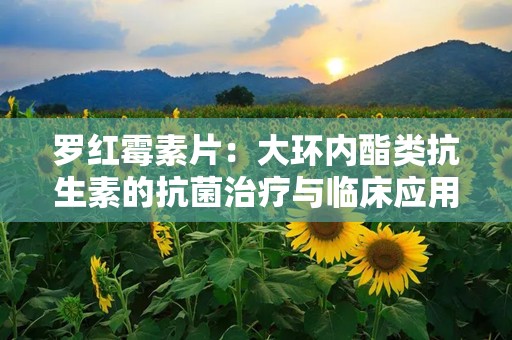 罗红霉素片：大环内酯类抗生素的抗菌治疗与临床应用