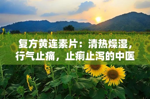 复方黄连素片：清热燥湿，行气止痛，止痢止泻的中医良药