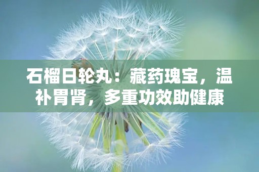 石榴日轮丸：藏药瑰宝，温补胃肾，多重功效助健康