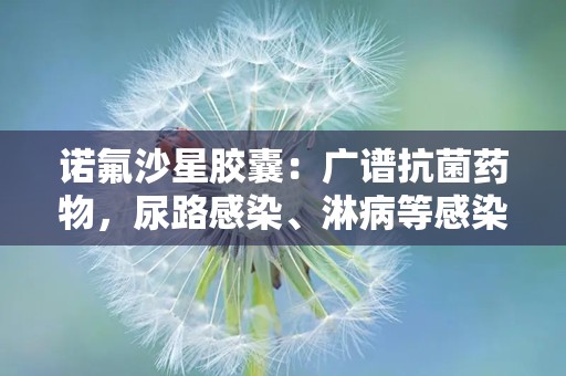 诺氟沙星胶囊：广谱抗菌药物，尿路感染、淋病等感染性疾病的治疗选择