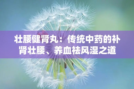 壮腰健肾丸：传统中药的补肾壮腰、养血祛风湿之道