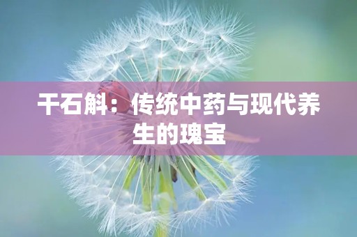 干石斛：传统中药与现代养生的瑰宝