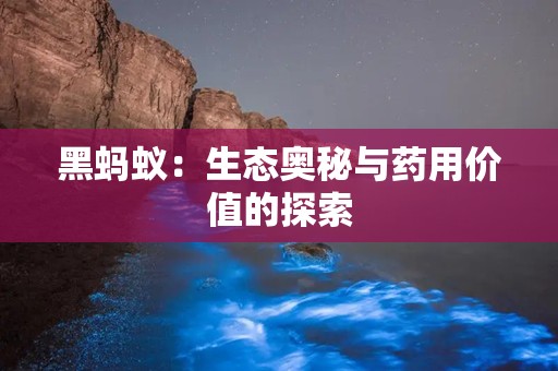 黑蚂蚁：生态奥秘与药用价值的探索