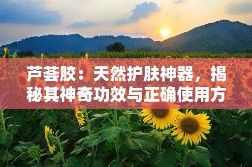 芦荟胶：天然护肤神器，揭秘其神奇功效与正确使用方法