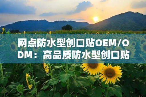 网点防水型创口贴OEM/ODM：高品质防水型创口贴OEM/ODM解决方案