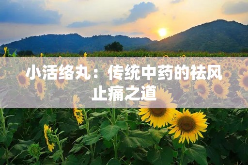 小活络丸：传统中药的祛风止痛之道