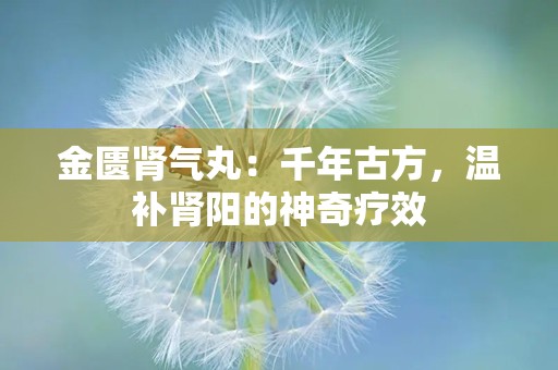 金匮肾气丸：千年古方，温补肾阳的神奇疗效