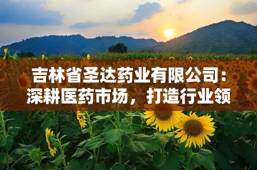 吉林省圣达药业有限公司：深耕医药市场，打造行业领军品牌