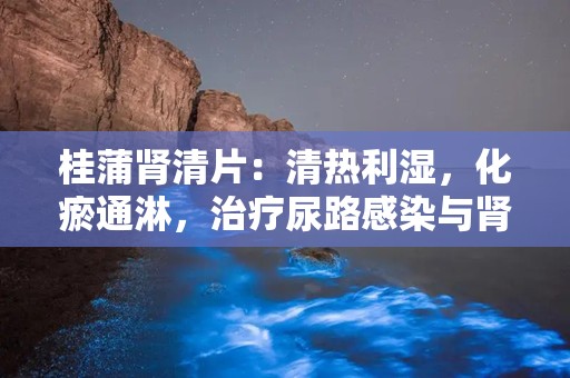 桂蒲肾清片：清热利湿，化瘀通淋，治疗尿路感染与肾盂肾炎的良药