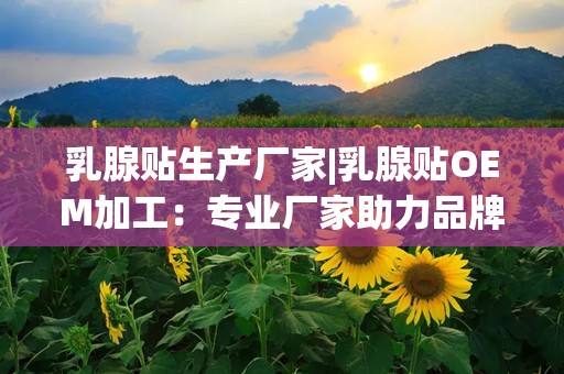 乳腺贴生产厂家|乳腺贴OEM加工：专业厂家助力品牌打造与市场拓展