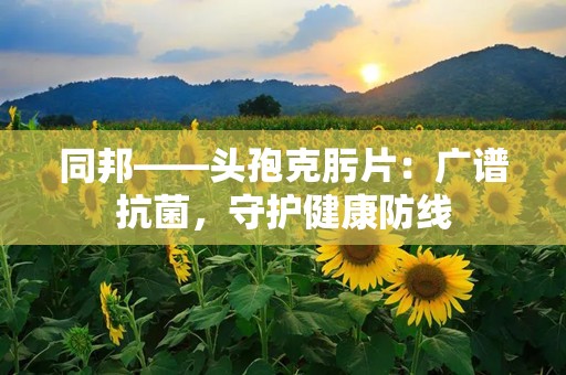 同邦——头孢克肟片：广谱抗菌，守护健康防线