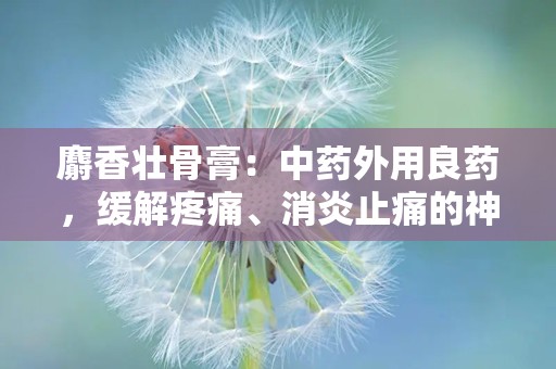 麝香壮骨膏：中药外用良药，缓解疼痛、消炎止痛的神奇膏剂