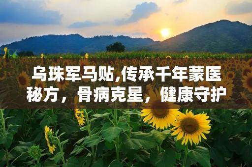 乌珠军马贴,传承千年蒙医秘方，骨病克星，健康守护神