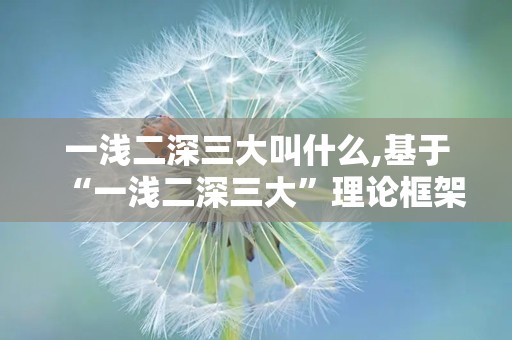 一浅二深三大叫什么,基于“一浅二深三大”理论框架的实践探索与启示